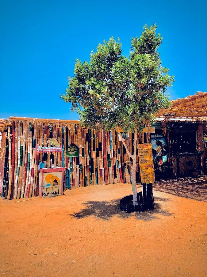 Lala Land Camp Nuweiba`